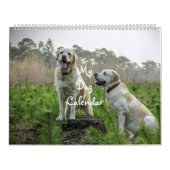 Calendrier Chien (Protection)
