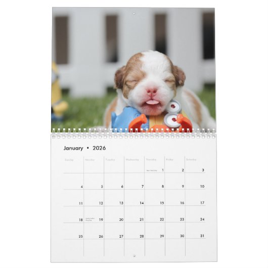 Calendrier Chien 2016 Personnalisé Ajouter Votre P (Jan 2026)