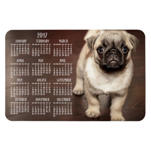 Calendrier Chien 2017 Photo Grand Magnet 4x6 (Horizontal)