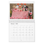 Calendrier Chien 2022 Éclairez Vos Journées Avec L (Feb 2026)