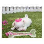 Calendrier Chien 2025 Jote Chiot Ajouter photo (Protection)