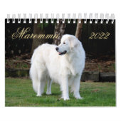 Calendrier Chien à mouton Maremma 2022 PetitCalendrier, Blanc (Protection)