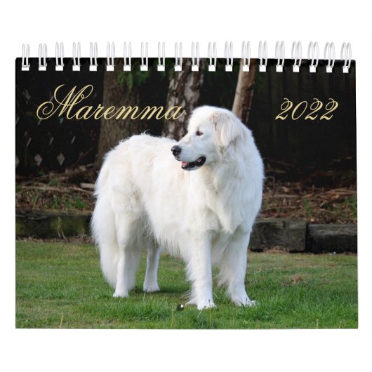 Calendrier Chien à mouton Maremma 2022 PetitCalendrier, Blanc (Protection)