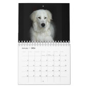 Calendrier Chien à mouton Maremma 2022 PetitCalendrier, Blanc (Jan 2026)