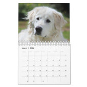 Calendrier Chien à mouton Maremma 2022 PetitCalendrier, Blanc (Mar 2026)