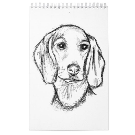 Calendrier Chien-chien dragon (Protection)
