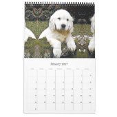 Calendrier Chien chiot (Jan 2027)