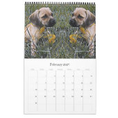 Calendrier Chien chiot (Feb 2027)