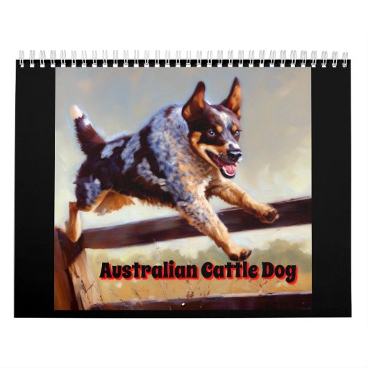 Calendrier Chien de bétail australien (Protection)