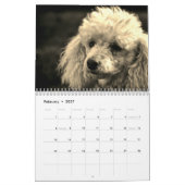 Calendrier Chien de caniche mignon (Feb 2027)