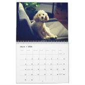Calendrier Chien de caniche mignon (Mar 2026)