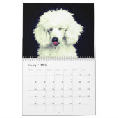 Calendrier Chien de caniche mignon (Jan 2026)
