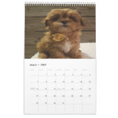 Calendrier Chien de Cavachon mignon (Mar 2027)