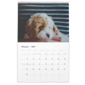 Calendrier Chien de Cavachon mignon (Feb 2027)