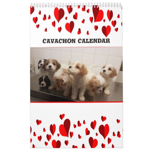 Calendrier Chien de Cavachon mignon (Protection)