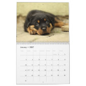 Calendrier Chien de douze mois 2026 adorable Chien de chiots (Jan 2027)