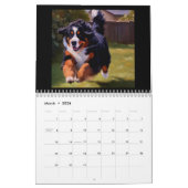 Calendrier Chien de montagne bernois (Mar 2026)