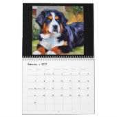 Calendrier Chien de montagne bernois (Feb 2027)