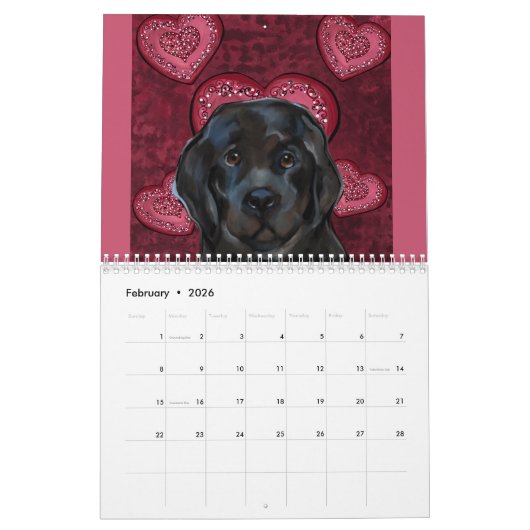 CALENDRIER CHIEN DE TERRE-NEUVE (Feb 2026)