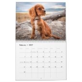 Calendrier Chien espagnol du roi Cavalier Charles (Feb 2027)