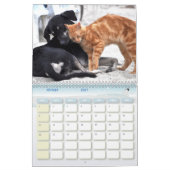 Calendrier chien et chat (Feb 2027)