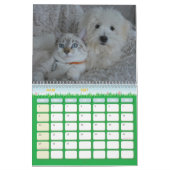 Calendrier chien et chat (Mar 2027)