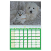 Calendrier chien et chat (Mar 2026)