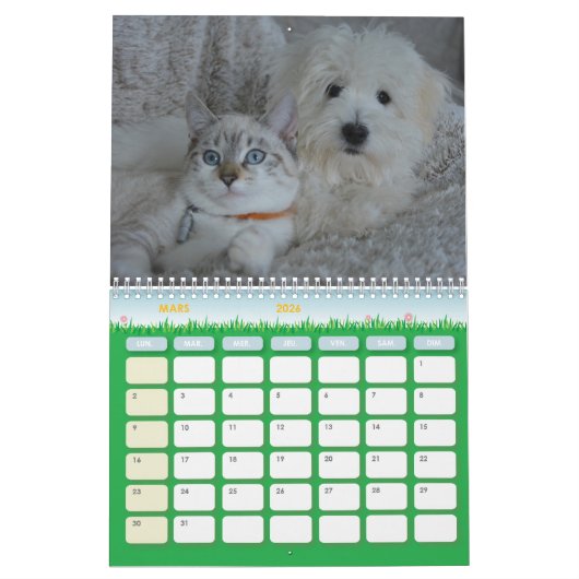 Calendrier chien et chat (Mar 2026)
