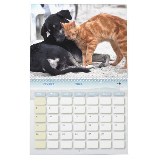 Calendrier chien et chat (Feb 2026)