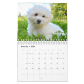 Calendrier Chien maltais (Feb 2026)