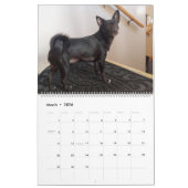Calendrier Chien Mia Chihuahua 2024 (Mar 2026)