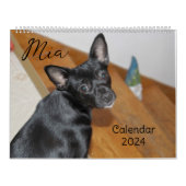 Calendrier Chien Mia Chihuahua 2024 (Protection)
