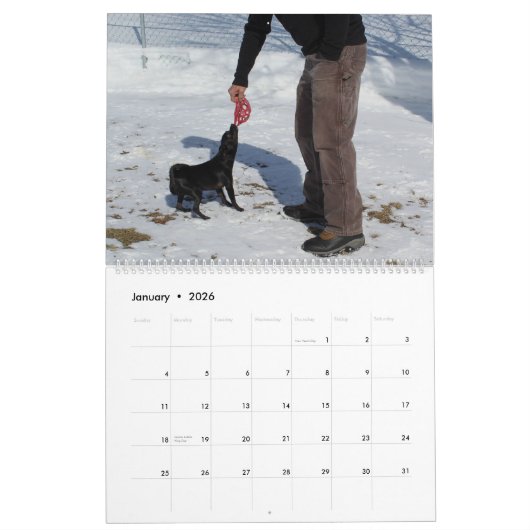 Calendrier Chien Mia Chihuahua 2024 (Jan 2026)