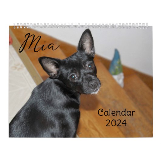 Calendrier Chien Mia Chihuahua 2024 (Protection)