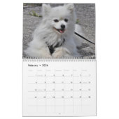 Calendrier Chien Samoyé 2025 (Feb 2026)