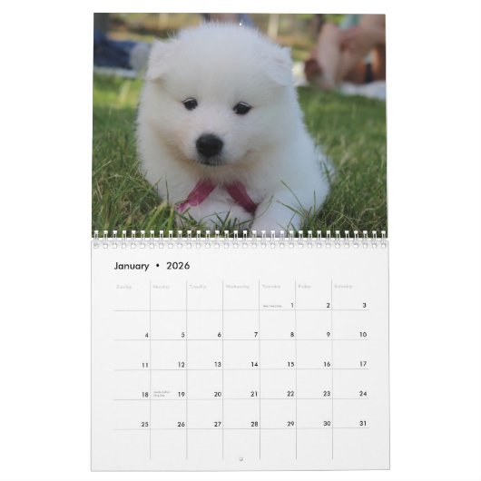 Calendrier Chien Samoyé 2025 (Jan 2026)