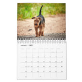Calendrier Chiens (Jan 2027)