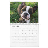 Calendrier Chiens (Mar 2027)