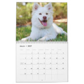 Calendrier Chiens Calender 2025 (Mar 2027)