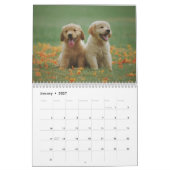 Calendrier Chiens Calender 2025 (Jan 2027)