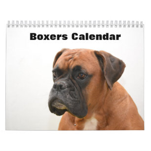 Calendrier Chiens de boîte 2025