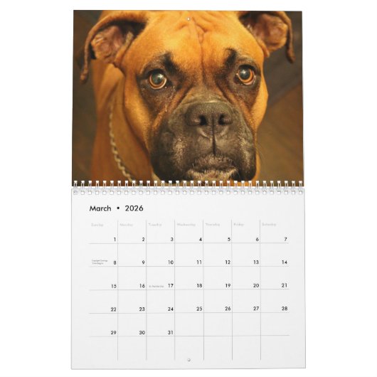 Calendrier Chiens de boxe 2017 (Mar 2026)