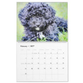 Calendrier Chiens de caniche de 12 mois Aquarelle Poodles Pei (Feb 2027)