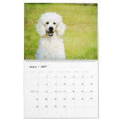 Calendrier Chiens de caniche de 12 mois Aquarelle Poodles Pei (Mar 2027)