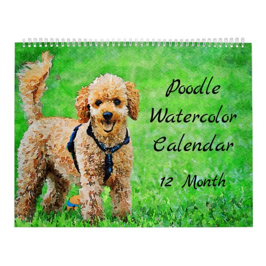 Calendrier Chiens de caniche de 12 mois Aquarelle Poodles Pei (Protection)