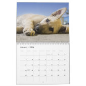 Calendrier Chiens de chiots mignons (Jan 2026)