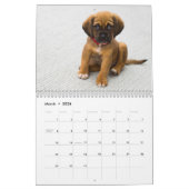Calendrier Chiens de chiots mignons (Mar 2026)