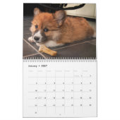 Calendrier Chiens de Corgi adorables 2026 (Jan 2027)