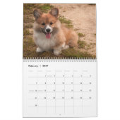 Calendrier Chiens de Corgi adorables 2026 (Feb 2027)