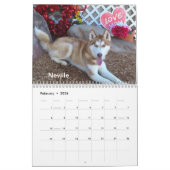 Calendrier Chiens de l'abri animal de Oklahoma City 2025 (Feb 2026)